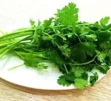 Cilantro