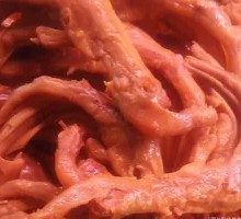 Duck Feet