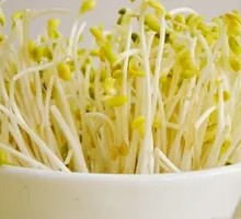 Stupid Bean Sprouts