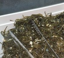Salted Kelp Slices