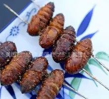 Silkworm pupae