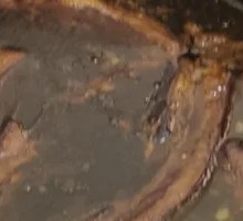 Braised Pork