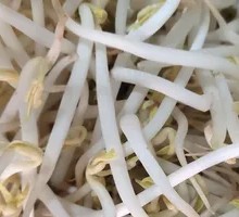 Bean sprouts