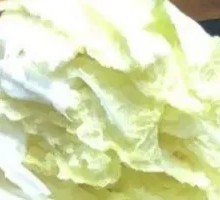 Napa cabbage