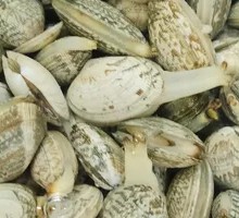 Small Clam Stir-fry