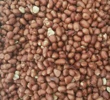 Salted Peanuts
