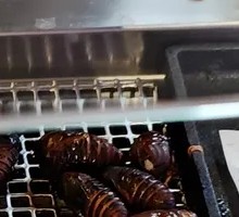 Silkworm pupae