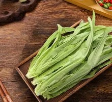 Oilseed lettuce