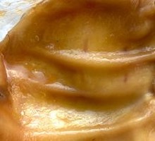 Pork Ear