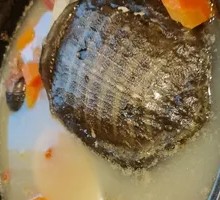 Nourishing Golden Soup Turtle