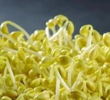 Mung Bean Sprouts