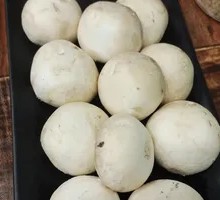 King Oyster Mushroom