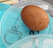 Tea Egg