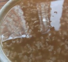 Red Sugar and Jujube Porridge