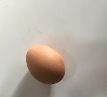 Boiled Egg