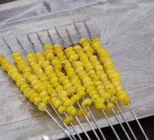 玉米粒一把