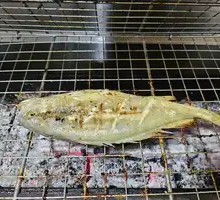Signature Large Yellow Croaker