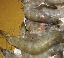 Salt-Baked Large Shrimp