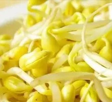 Bean sprouts