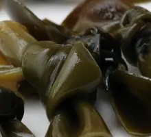 Kelp