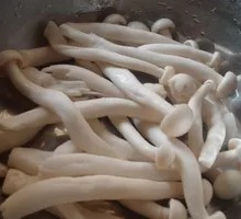 Seafood Mushroom
