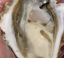 Rushan Oyster So Juicy