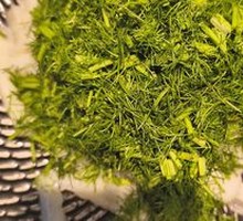 Fennel and Yam