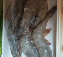 Large Shrimp