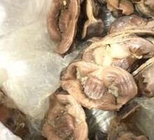 酱鸡胗