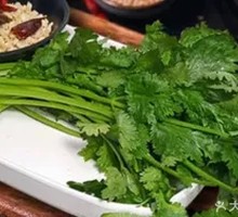Cilantro