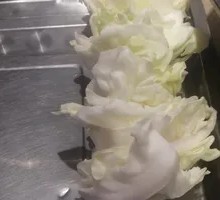 Fried Turnip Cake