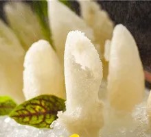Yunnan Bamboo Fungus