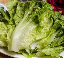 Lettuce
