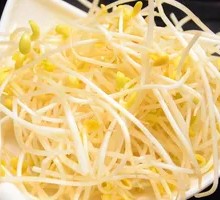 Bean sprouts