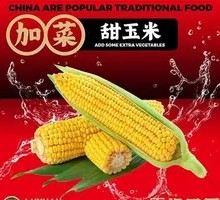 Corn