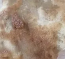 Beef Pie