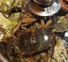 河蟹