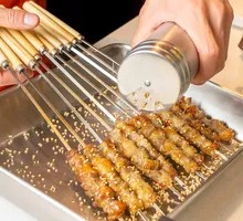 Electric Grilled Lamb Skewers
