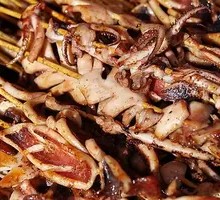 Squid