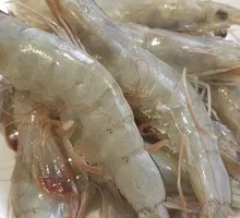 Large Shrimp
