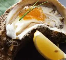 Oyster