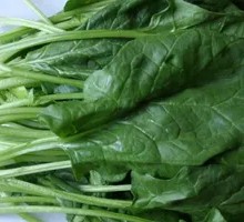 Spinach