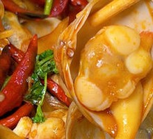 Yellow Clam