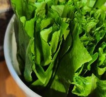 Oilseed lettuce