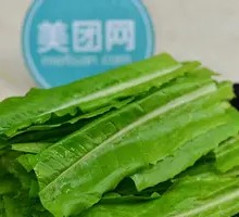 Oilseed lettuce