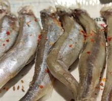 Mullet Fish