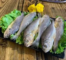 Yellow Croaker
