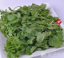 Cilantro