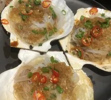 Scallop