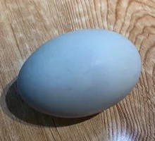 Salted duck egg